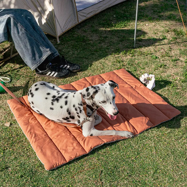 Matelas pour chien pliable, portable et réversible, résistant à l'eau, pour les voyages et le camping en extérieur.