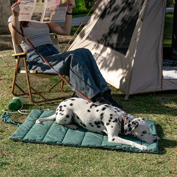 Matelas pour chien pliable, portable et réversible, résistant à l'eau, pour les voyages et le camping en extérieur.