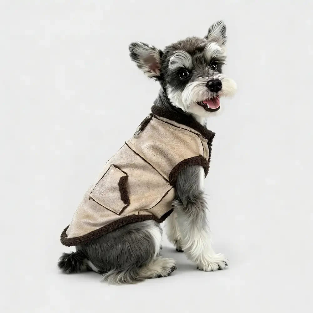 Gilet pour chien teckel en velours rétro