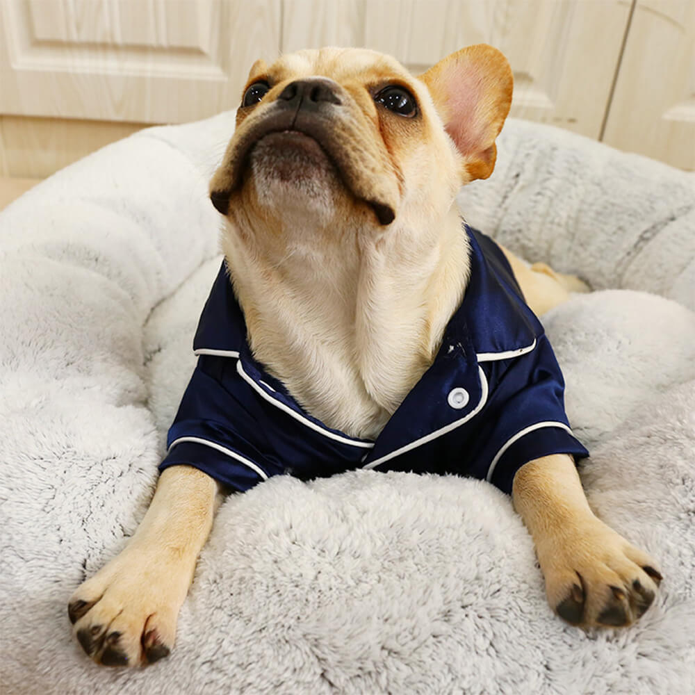 Pyjama fin et confortable anti-poils assorti pour chien et propriétaire