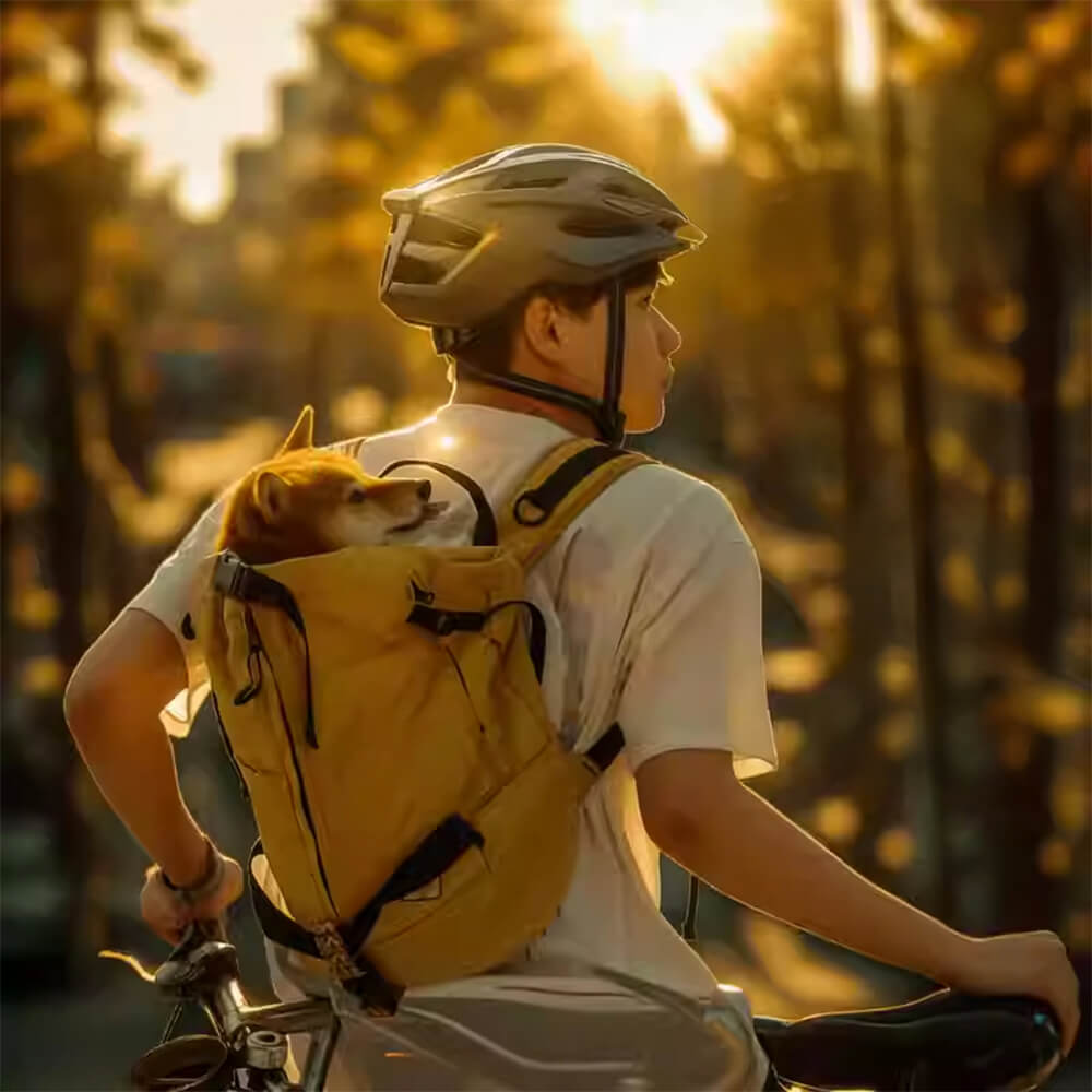 Sac de transport pour chien ventilé et résistant idéal pour la randonnée