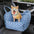ISOFIX Siège de voiture pour chien avec système LATCH - Première classe