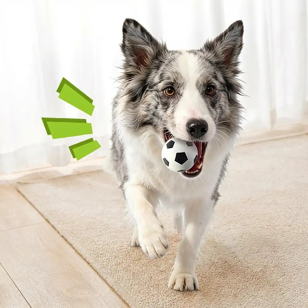 Jouet pour chien en forme de ballon flottant drôle avec une grande élasticité.