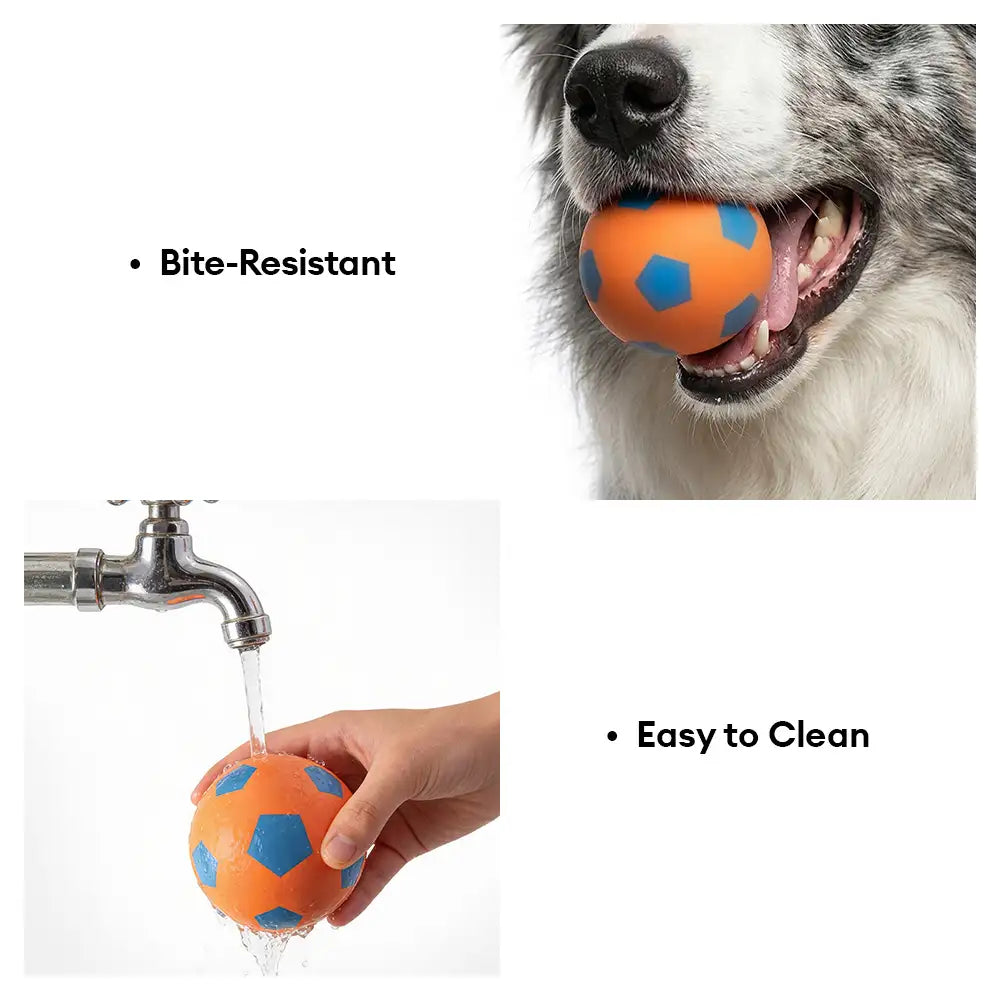 Jouet pour chien en forme de ballon flottant drôle avec une grande élasticité.