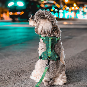 Harnais pour chien anti-traction en tissu recyclé éco-responsable et laisse