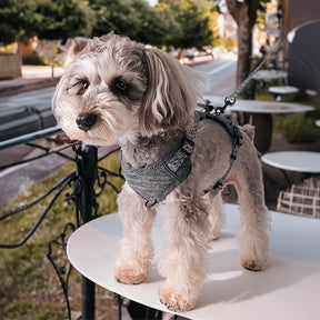 Harnais pour chien anti-traction en tissu recyclé éco-responsable et laisse