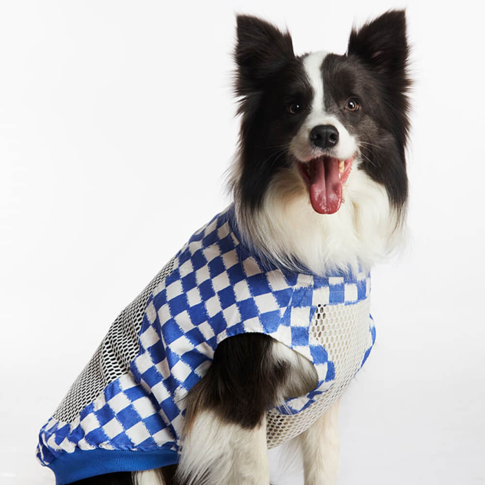 Gilet Fashion Sans Manches Respirant et Frais pour Grand Chien