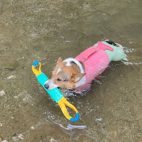 Jouets Flottants Résistants pour Chiens Interactifs en Extérieur