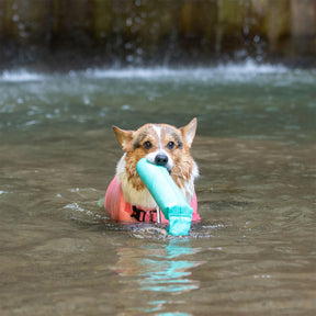 Jouets Flottants Résistants pour Chiens Interactifs en Extérieur