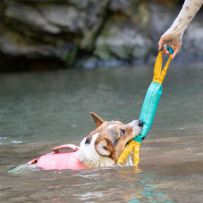 Jouets Flottants Résistants pour Chiens Interactifs en Extérieur