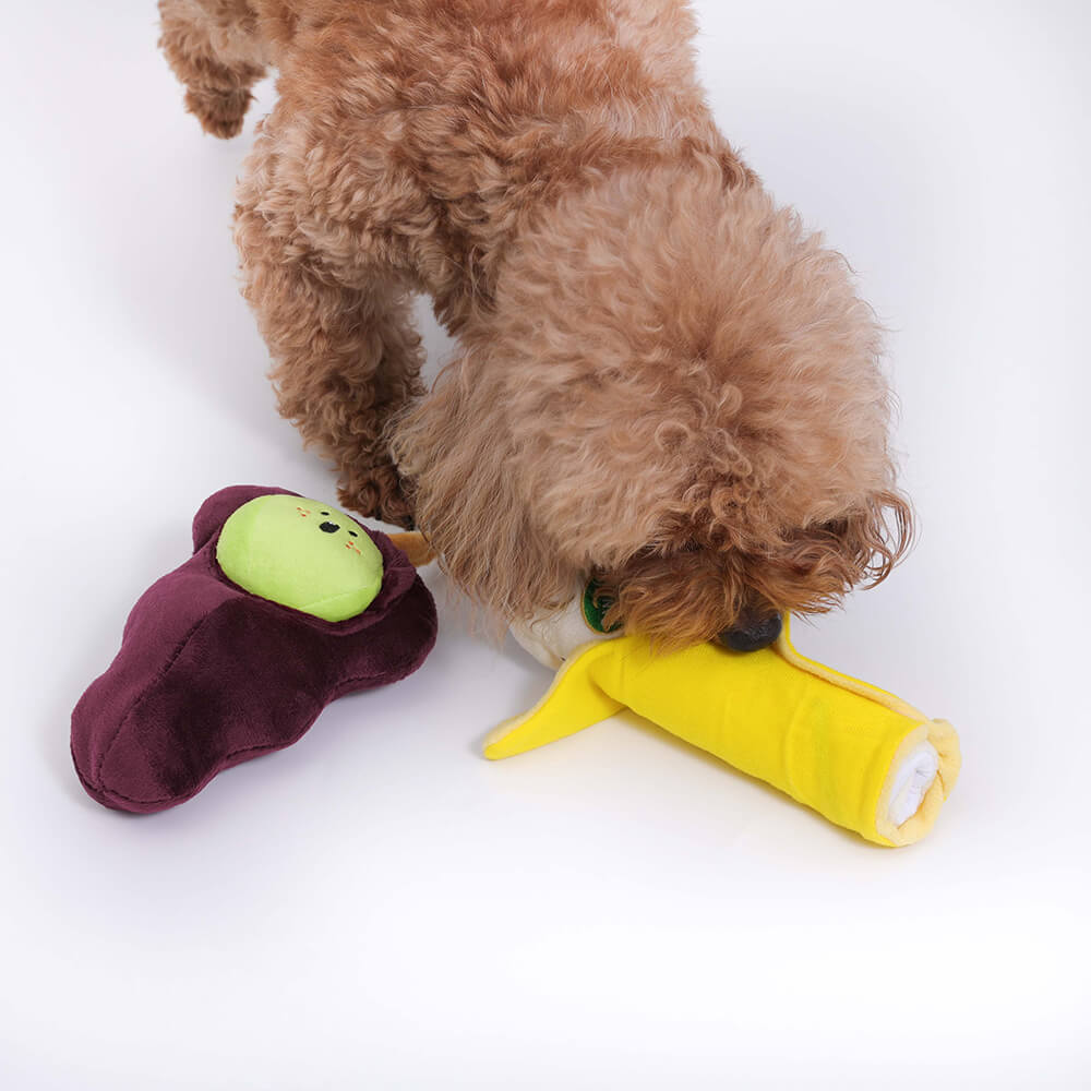 Jouet en peluche grinçant pour chien - Fruit