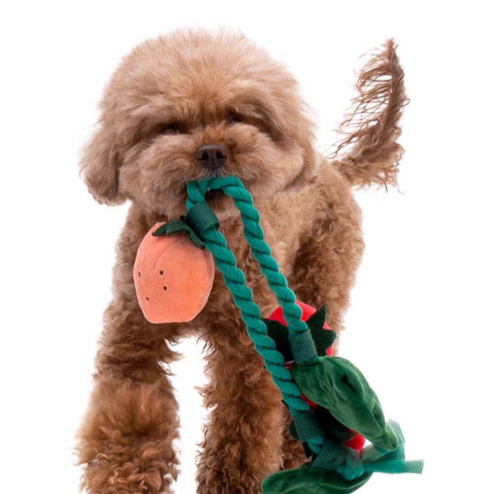 Jouet en Peluche Squeaky pour Chien - Fraise en Pot