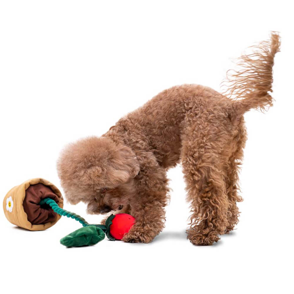 Jouet en Peluche Squeaky pour Chien - Fraise en Pot