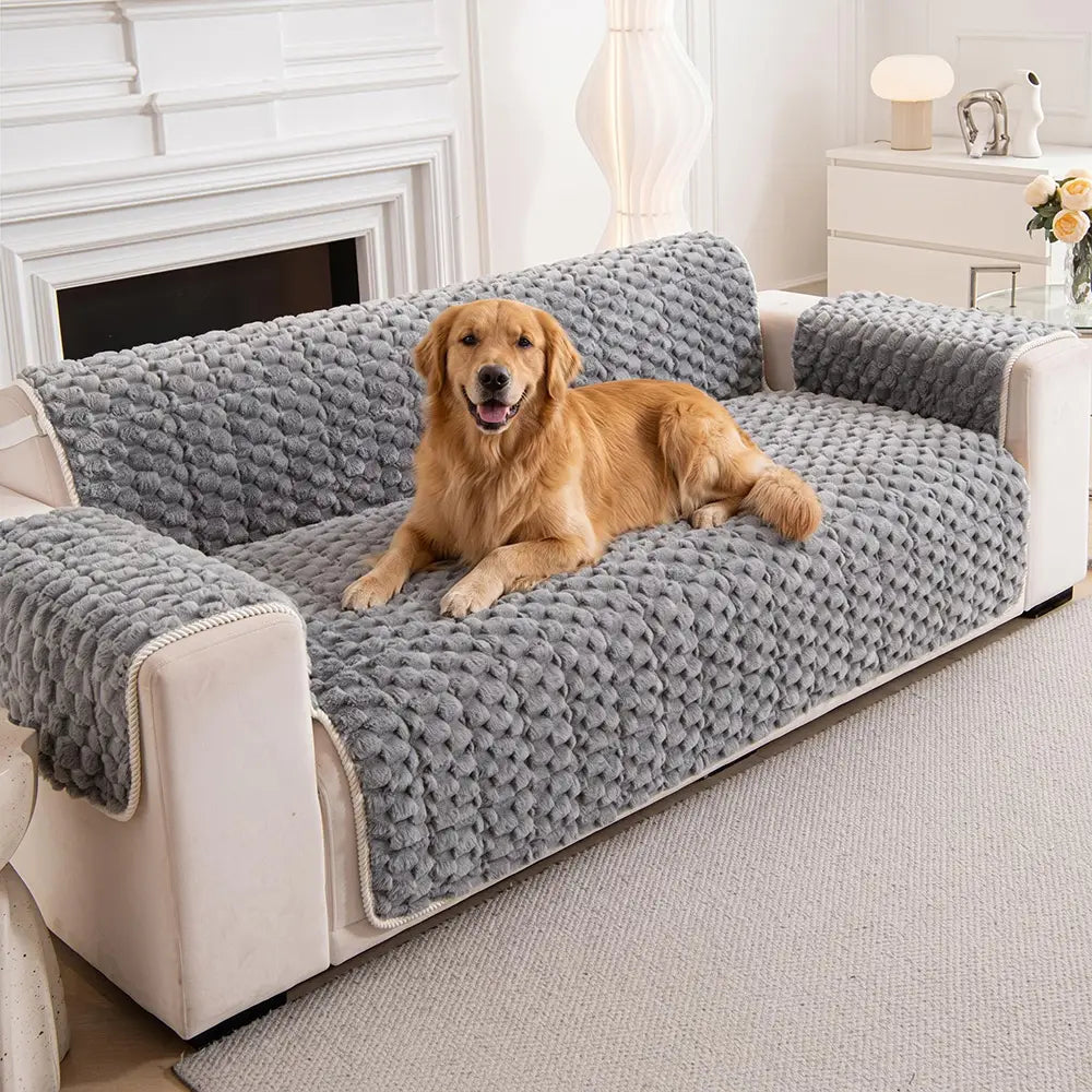 Housse de canapé en peluche douce anti-dérapante, une pièce, adaptée aux animaux de compagnie.