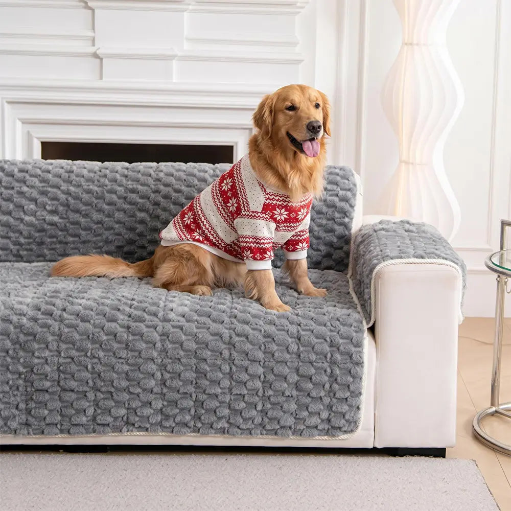 Housse de canapé en peluche douce anti-dérapante, une pièce, adaptée aux animaux de compagnie.