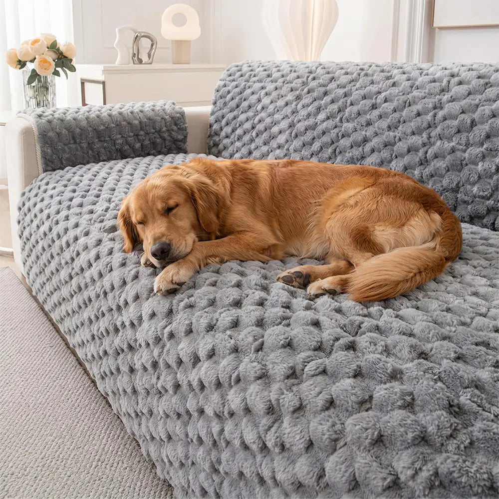 Housse de canapé en peluche douce anti-dérapante, une pièce, adaptée aux animaux de compagnie.
