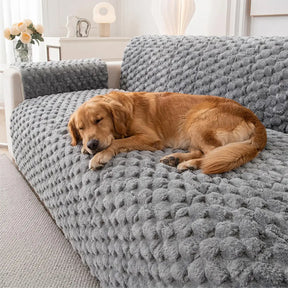 Housse de canapé en peluche douce anti-dérapante, une pièce, adaptée aux animaux de compagnie.
