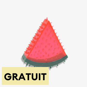 Jouet à mâcher en caoutchouc rempli d’eau forme fruit gelé pour chiens-Exclusif app