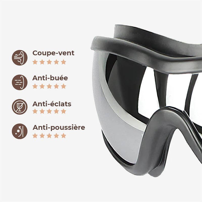 Lunettes de protection pour grand chien