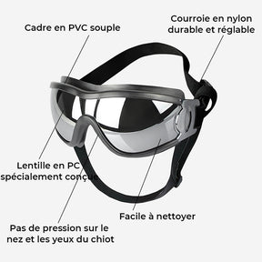 Lunettes de protection pour grand chien