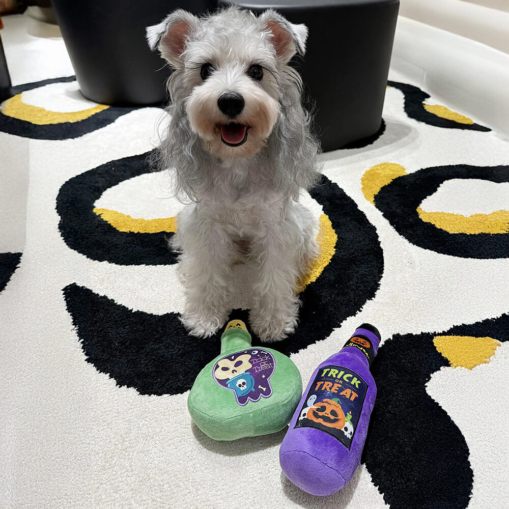 Jouet en peluche amusant pour chien avec flacon de médicament pour Halloween