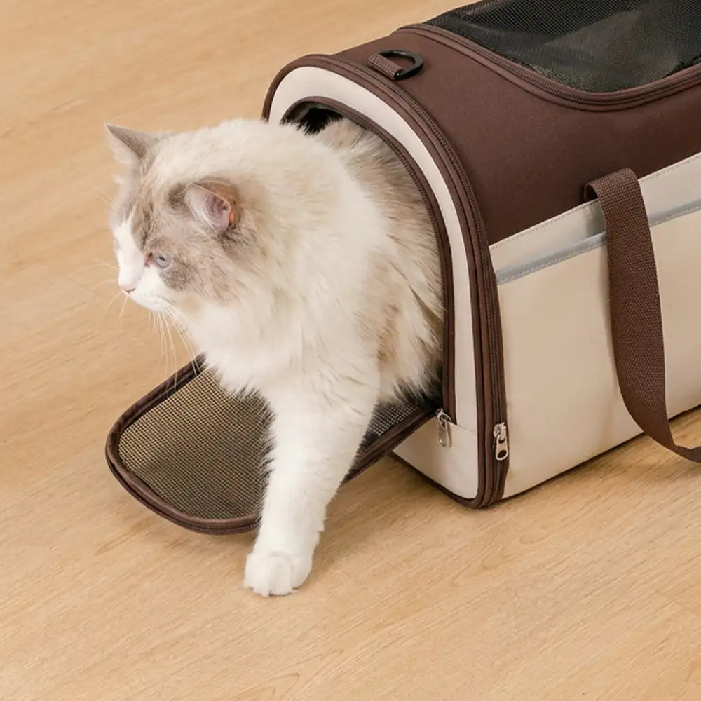 Sac de transport pour animaux, multifonction, à bandoulière, respirant, pour le voyage et le vétérinaire.