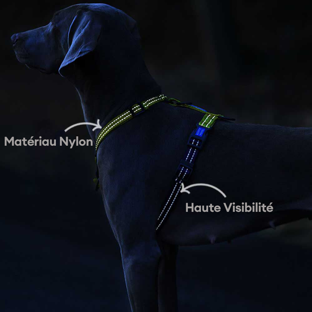 Harnais pour Chien Réglable Double-Face Multifonction