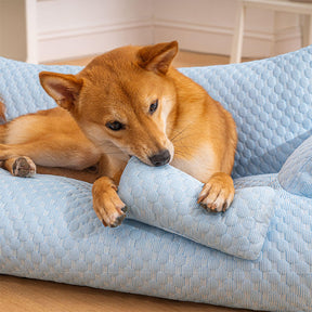 Canapé-lit pour chien lavable et rafraîchissant en soie de glace