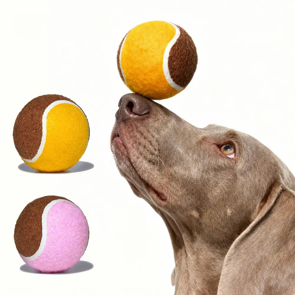 Jouet interactif en forme de balle de tennis pour chien