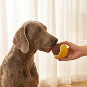 Jouet interactif en forme de balle de tennis pour chien