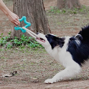 Jouet Interactif à Tirer pour Chien Nettoyage des Dents en Caoutchouc