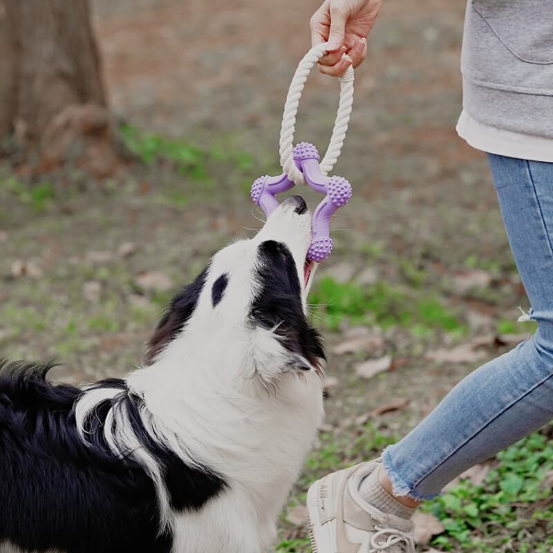 Jouet Interactif à Tirer pour Chien Nettoyage des Dents en Caoutchouc