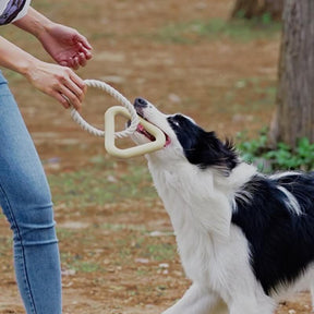 Jouet Interactif à Tirer pour Chien Nettoyage des Dents en Caoutchouc