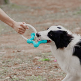 Jouet Interactif à Tirer pour Chien Nettoyage des Dents en Caoutchouc