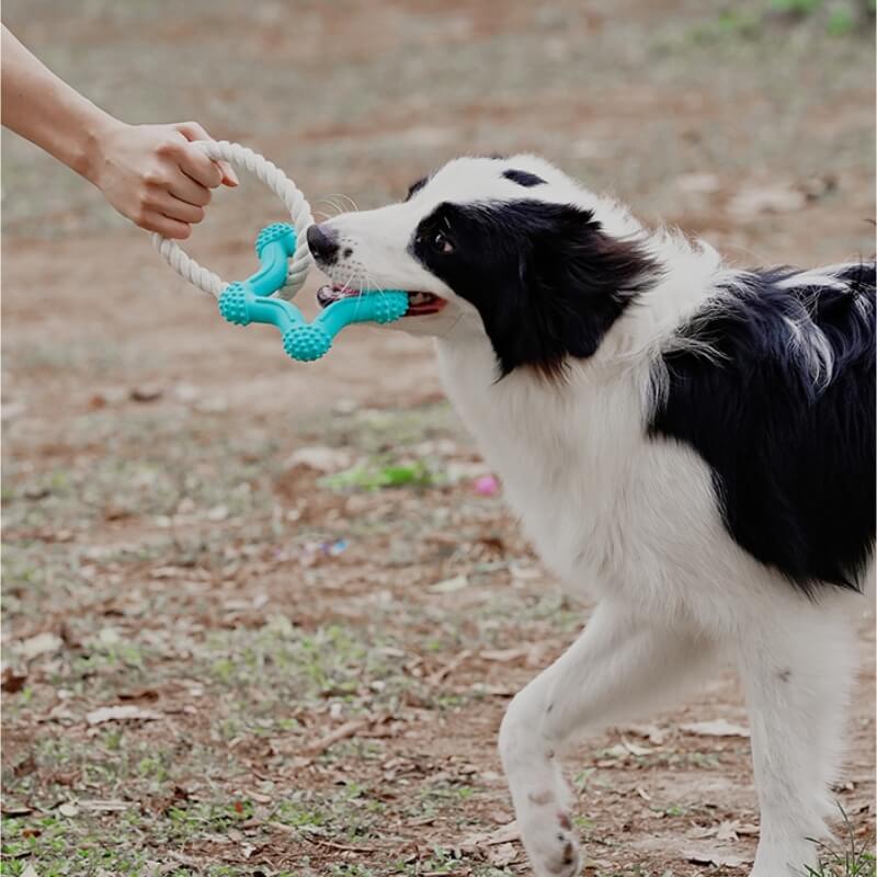 Jouet Interactif à Tirer pour Chien Nettoyage des Dents en Caoutchouc