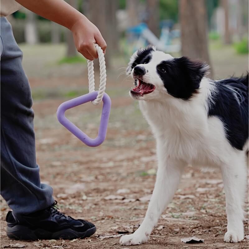 Jouet Interactif à Tirer pour Chien Nettoyage des Dents en Caoutchouc