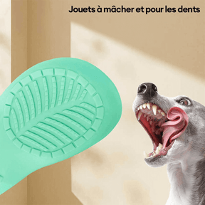 Jouet en latex interactif pour chien résistant nettoyant les dents