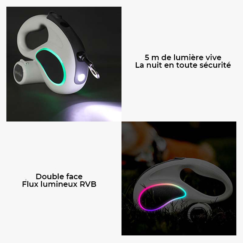 Laisse de dressage pour chien LED longue et rétractable