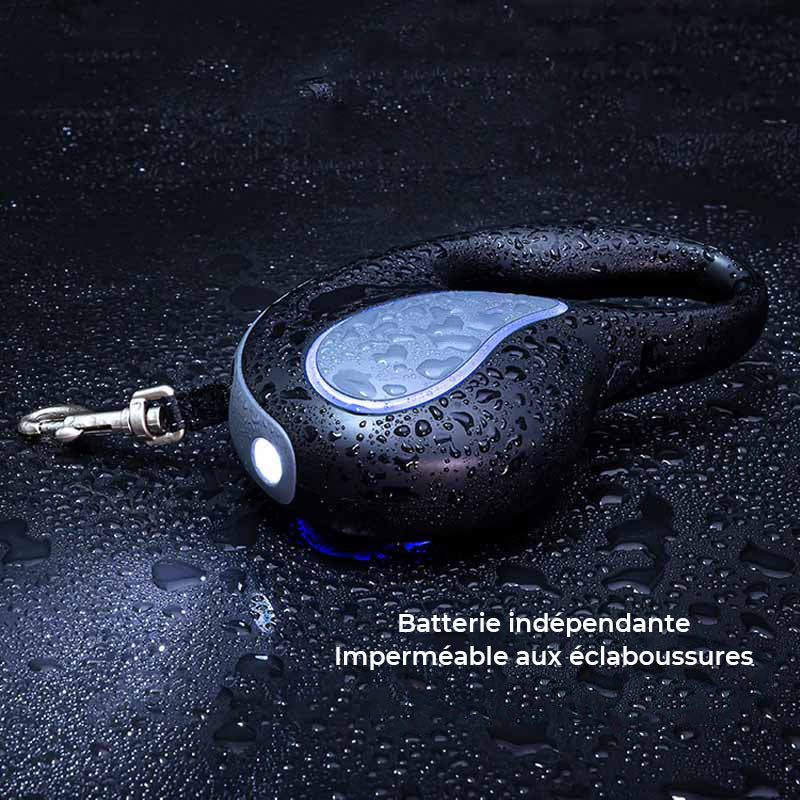 Laisse de dressage pour chien LED longue et rétractable