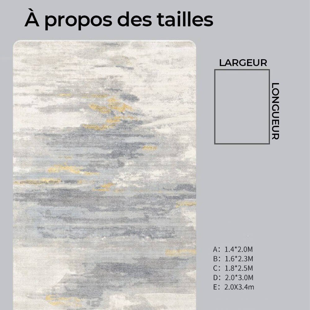 Tapis Simple Abstrait pour Salon