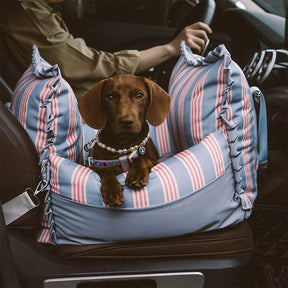 Siège Auto Sécurisé Imperméable à Rayures pour Chien