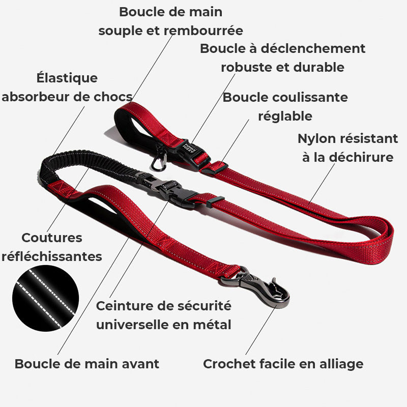 Laisse pour chien mains libres multifonction avec ceinture de sécurité