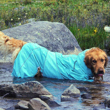 Manteau de pluie ajustable et imperméable pour grand chien