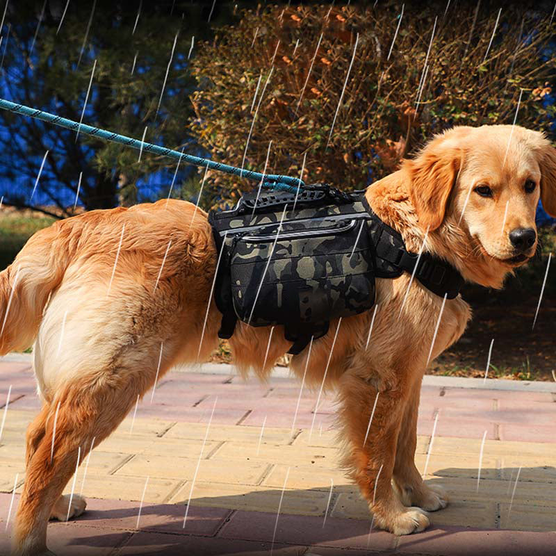 Harnais Tactique Autonome pour Chiens Grands