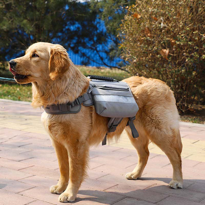 Harnais Tactique Autonome pour Chiens Grands