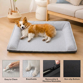 Lit pour chien en soie glacée avec soutien pour le cou, antidérapant, grand espace de refroidissement.