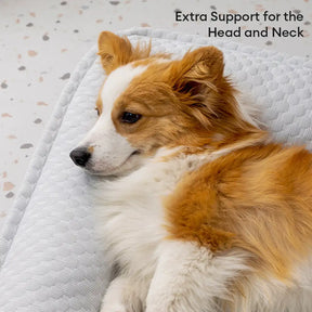 Lit pour chien en soie glacée avec soutien pour le cou, antidérapant, grand espace de refroidissement.