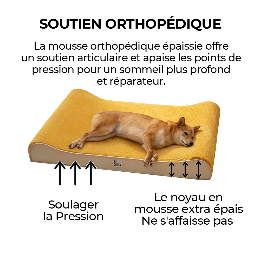 Lit orthopédique luxueux de chaise longue de chien de noblesse