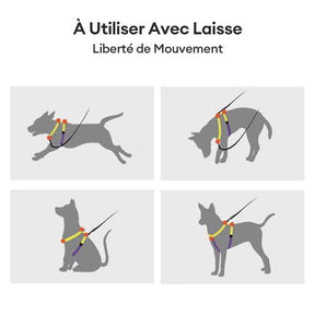 Harnais pour Chien Réglable Double-Face Multifonction