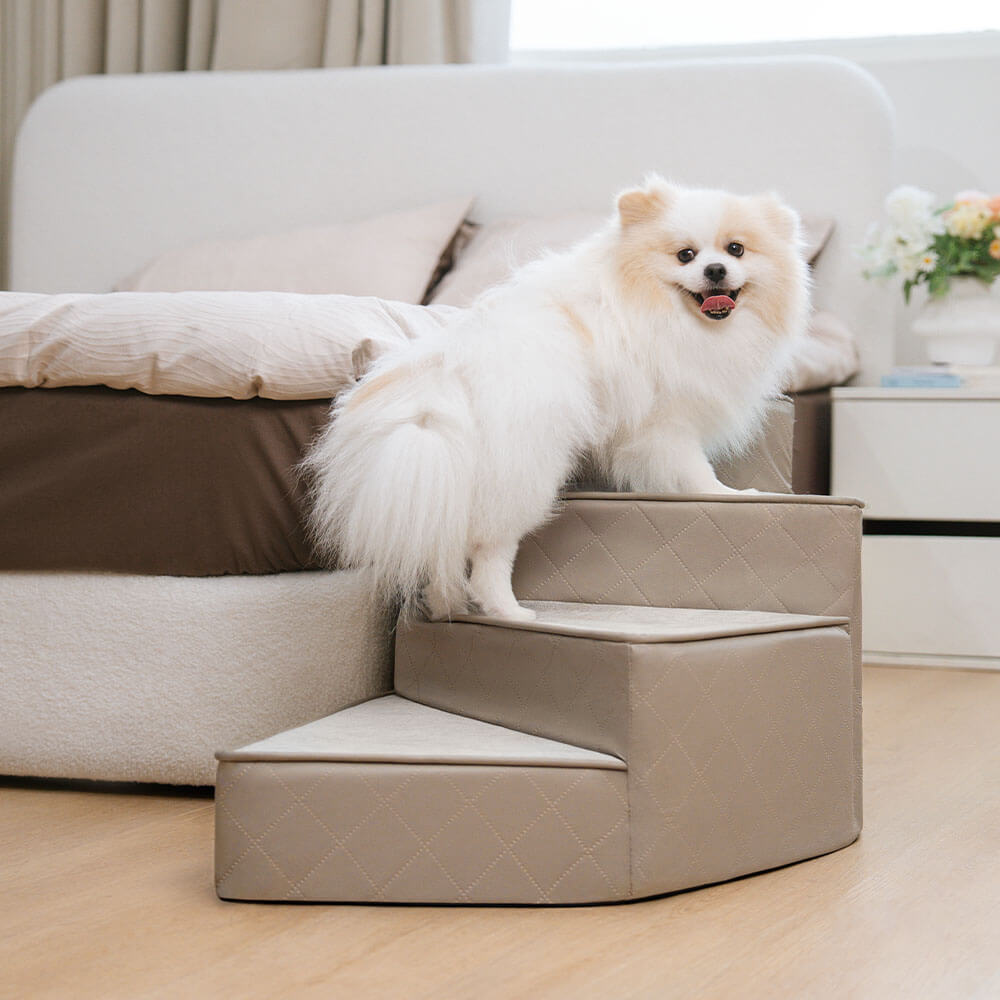 Escaliers pour animaux en similicuir imperméable et amovibles - StepEase